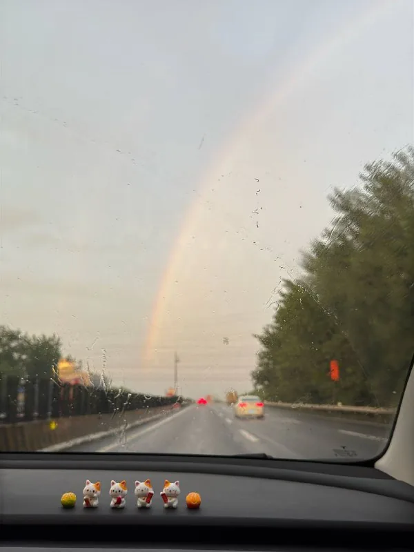 🌈