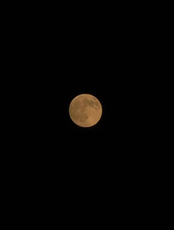 shot on iPhone